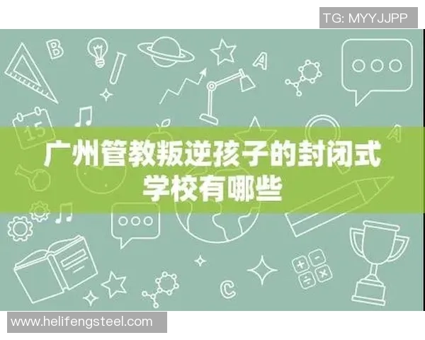 广州飞盘队个人能力分析与表现评估探讨